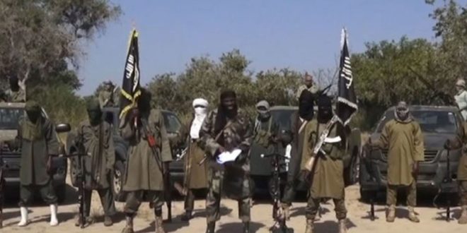 High-ranking Boko Haram commanders surrender in Borno