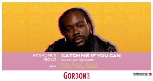 Let the fun be-gin: Gordon's partners Adekunle Gold to colour December
