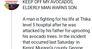 Man fighting for life in hospital after he was attacked by his 80-year-old father for uprooting avocado trees
