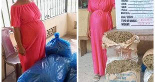 NDLEA arrests pregnant woman with 34.4kgs of cannabis in Rivers