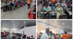 NEMA evacuates 191 stranded Nigerians from India