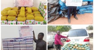 Nine arrested as NDLEA seizes tonnes of narcotics in 5 states