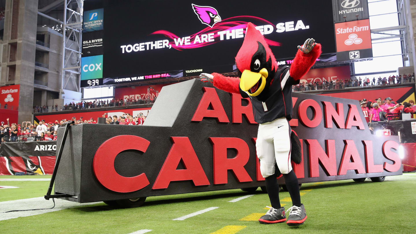 The Arizona - New England Game Was So Cursed That Even the Cardinals Mascot Got Hurt