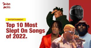 Top 10 Slept On Songs of 2022 [Pulse Picks]