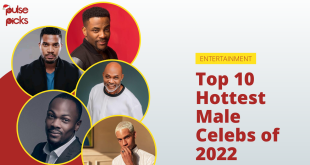 Top 10 hottest male celebs of 2022 [Pulse Picks]