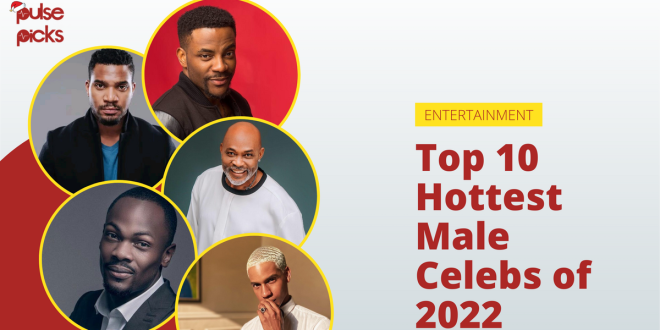 Top 10 hottest male celebs of 2022 [Pulse Picks]