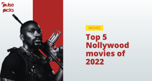 Top 5 Nollywood movies of 2022 [Pulse Picks]