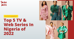 Top 5 TV and web series in Nigeria of 2022 [Pulse Picks]