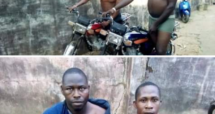 Two brothers nabbed for motorcycle theft in Delta