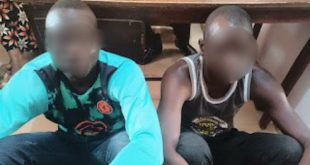 Adamawa police arrests two men for beating woman and one other to death over allegations of poisoning their deceased brother