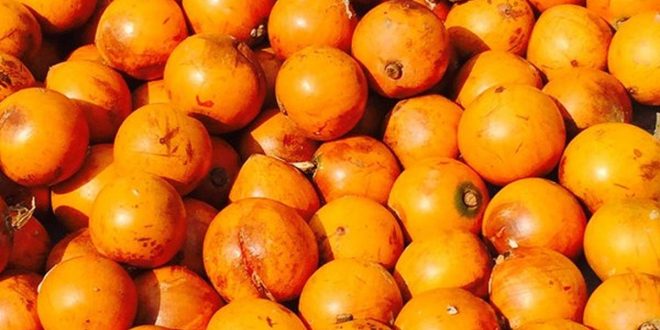 Amazing benefits of the seasonal fruit African star apple