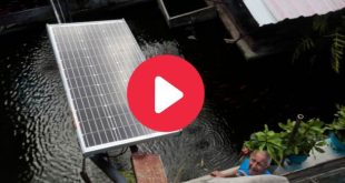 Cuban Innovator Drives Sustainable Energy Solutions - VIDEO