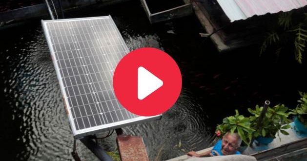 Cuban Innovator Drives Sustainable Energy Solutions - VIDEO