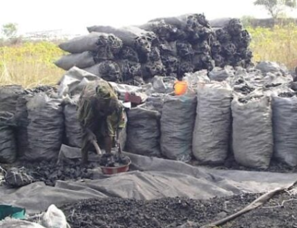 FG lifts ban on wood and?charcoal exportation