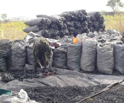 FG lifts ban on wood and?charcoal exportation