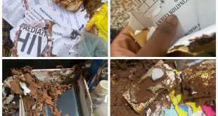 "I am tired of being strong" - Student laments as she shares photos showing how termites destroyed her school room while at home on 3 months break