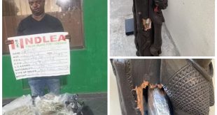 Importer offers N8m bribe as NDLEA intercepts drug consignments concealed in wooden statue and imported vehicle