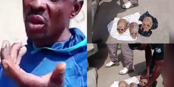 Man apprehended with three human skulls (video)