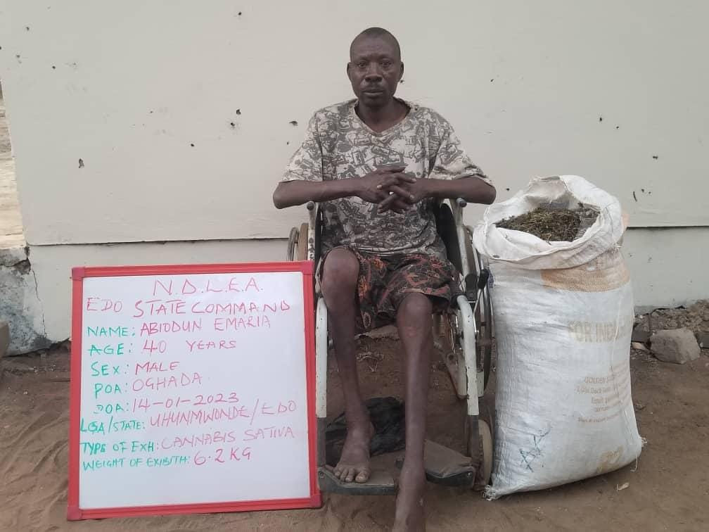 NDLEA arrests notorious physically challenged drug dealer with 6.2kgs of cannabis in Edo