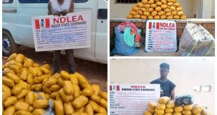 NDLEA arrests three traffickers with 256kgs of illicit drugs