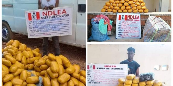 NDLEA arrests three traffickers with 256kgs of illicit drugs