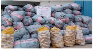 NDLEA impounds 4,878kg Of Canadian Loud after shootout with 20 armed men in Ikoyi
