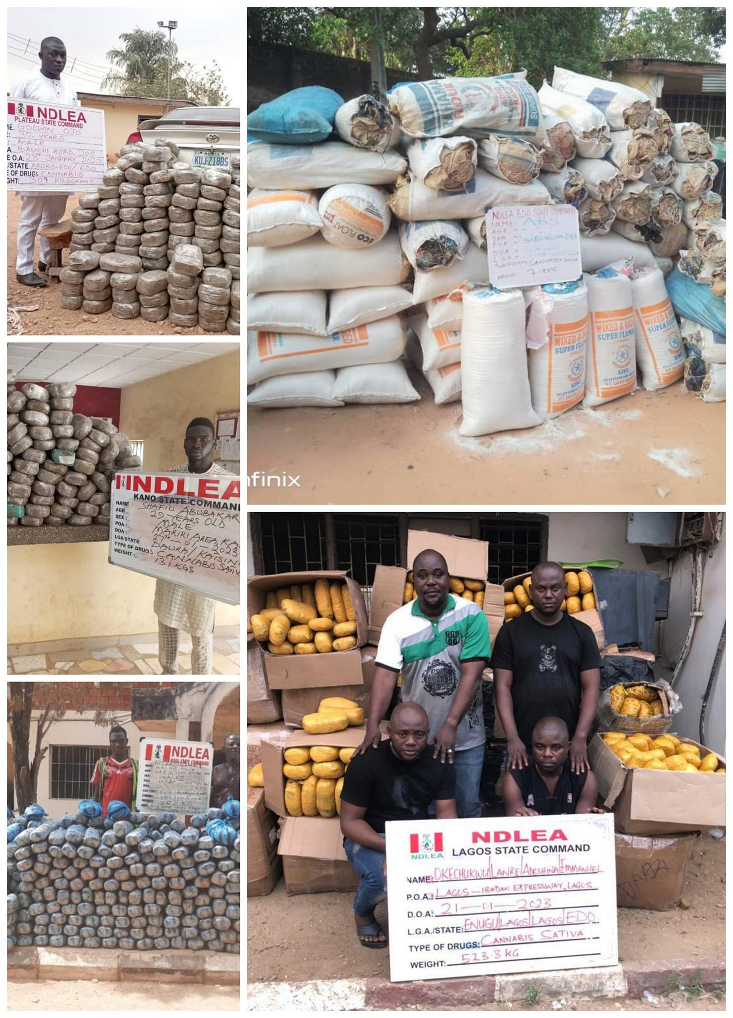 NDLEA operatives reject N3m bribe, arrest 17 suspects, intercepts 2,601.5kgs cannabis and 102,500 opioid pills