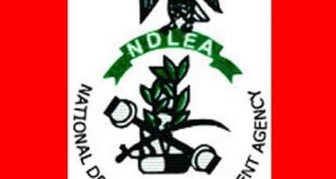 NDLEA summons Niger state LG chairman for allegedly encouraging youths to smoke Indian hemp