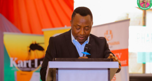 Nigeria can replace petrol with solar energy, palm oil - Sowore