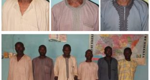Police arrest six men men for raping 12-year-old girl in Bauchi