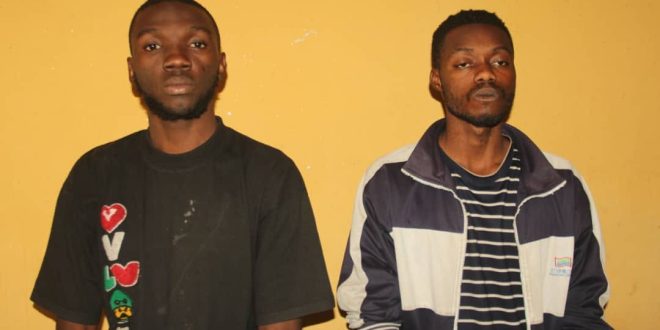 Police arrest two suspected cultists in Bauchi, recover firearm