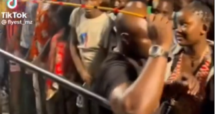 Security guard brandishes a cane while trying to keep the crowd at a Nigerian concert in check (video)