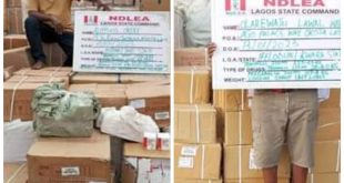 Two drug kingpins arrested as NDLEA busts Tramadol cartel in Lagos, seizes opioids worth over N5billion