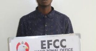 EFCC arraigns man for alleged impersonation and theft in Kano