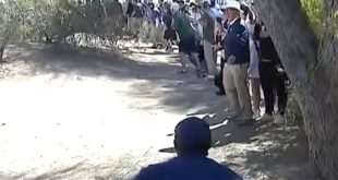 Fearless Golf Fans Trust Rory McIlroy With Their Lives