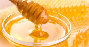Honey: 4 simple ways this superfood can help in weight loss