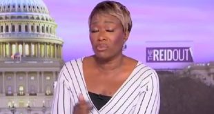 Joy Reid Accuses DeSantis of Turning Florida Into a 'Right-Wing Fantasy Land' And We're All For It