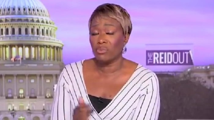 Joy Reid Accuses DeSantis of Turning Florida Into a 'Right-Wing Fantasy Land' And We're All For It
