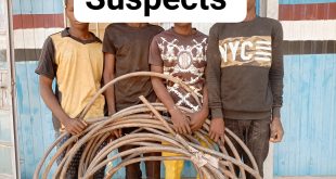 NSCDC arrests four notorious electric cable vandals in Jigawa