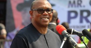 Obi wins in Benue Govt House polling units