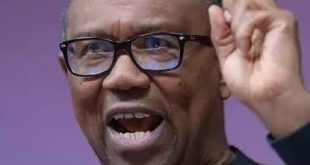 Peter Obi wins in Bola Tinubu?s campaign DG?s polling booth