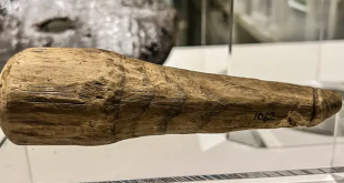 Scientists might have found the first dildo ever used by humans