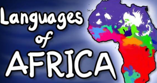 Top 5 African countries with the highest number of languages