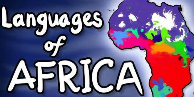 Top 5 African countries with the highest number of languages