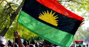 Vote any candidate of your choice - IPOB tells Igbos
