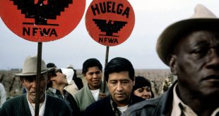 Can the United Farm Workers Rise Again?