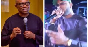 Former Big Brother Naija Star Apologises To Peter Obi Over ‘Insensitive’ Comment