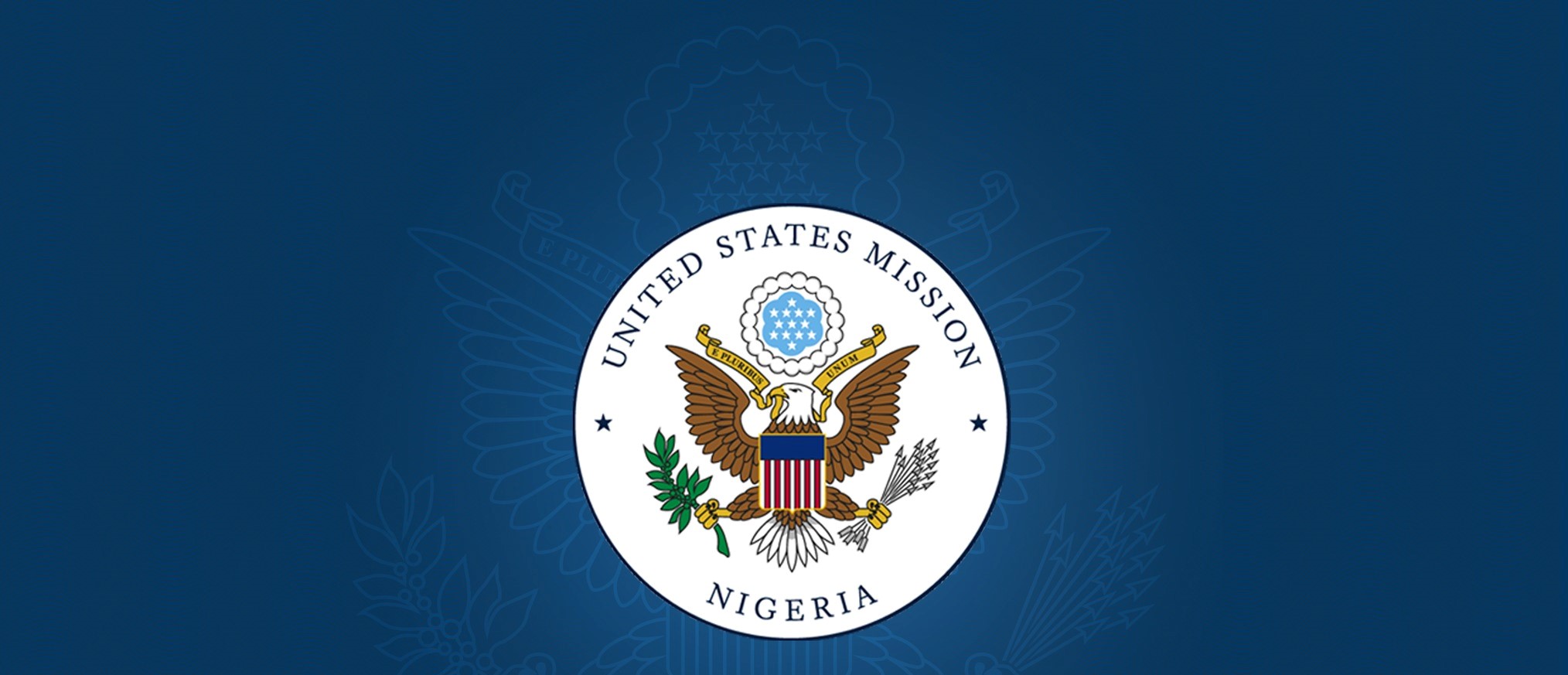 Gov poll: US condemns ethnically charged rhetoric, violent voter intimidation, suppression in Lagos and other states, considers visa restrictions on culprits