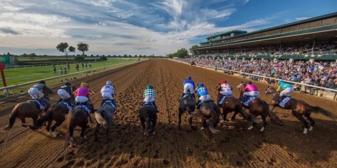 Best Breeders Cup Betting Sites In Washington Washington Sports Betting Guide For Horse Racing