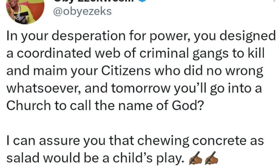 I can assure you that chewing concrete as salad would be a child?s play- Oby Ezekwesili writes politicians who send criminal gangs to kill their citizens in their desperation for power